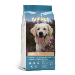 Divinus Adult KARMA SUCHA dla psów dorosłych 20kg