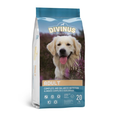 Divinus Adult KARMA SUCHA dla psów dorosłych 20kg