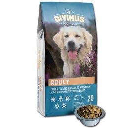 PRÓBKA DIVINUS ADULT DOG  KARMA SUCHA 100g
