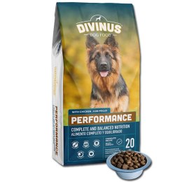 PRÓBKA Divinus Performance SUCHA KARMA dla psów aktywnych 100g