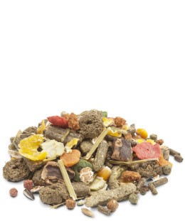 VERSELE-LAGA Crispy Muesli rabbit karma dla królika 1kg POKARM KRÓLIK